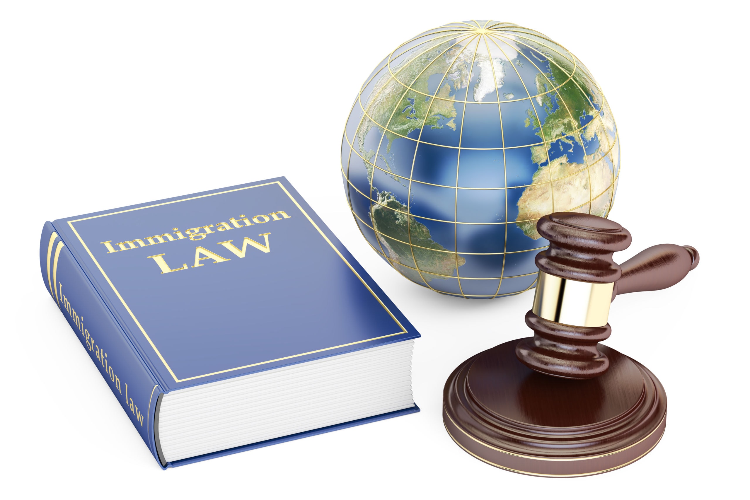 a globe a gavel and a book labeled immigration law