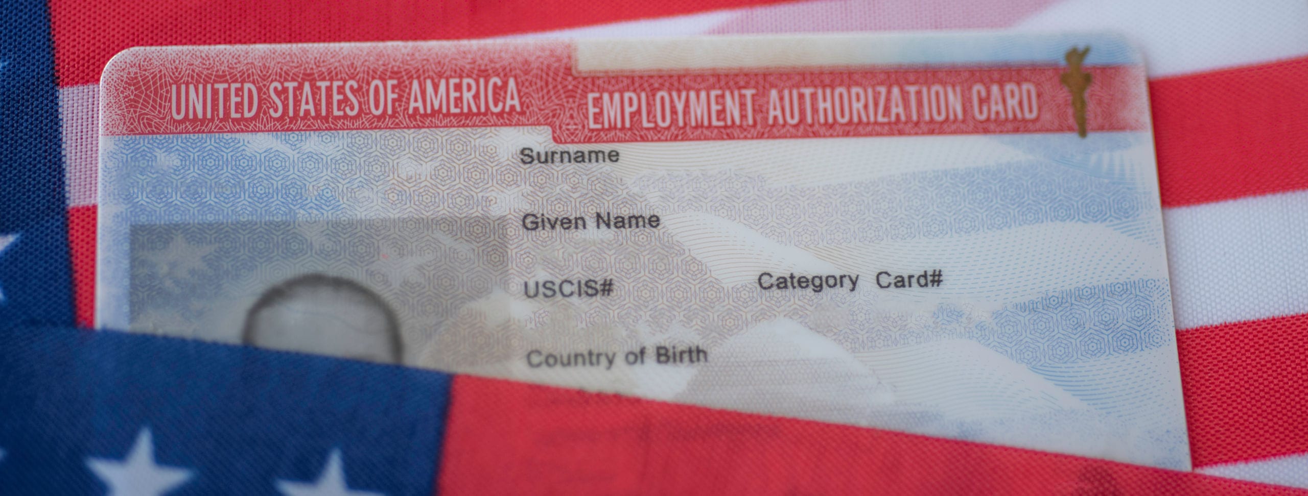 an employment authorization card